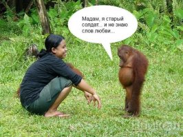 Фразы из любимых фильмов