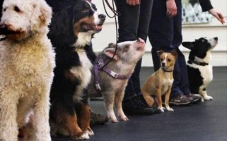 "Штирлиц еще не был так близок к провалу"...