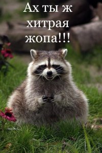 Боярышник шагает по Европе