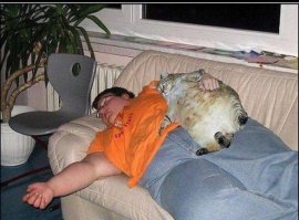 Инстаграм-аккаунт с горячими парнями, которые позируют с кошками, точно поднимет давление у любой девушки