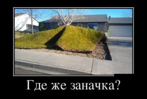 Кот пробежался по газону :)