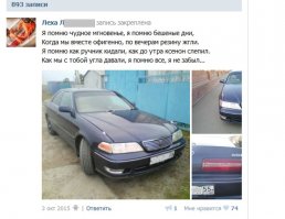 ""За рулем сидел 27-летний Алексей Ларькин - работник РЖД. Ни жены, ни детей у него нет. Сразу после ДТП он удалил свою страничку в соцсетях. Но увидеть, чем живет омич, мы всё же успели. На страничке куча фото машин. Все о дрифте и стрит-рейсинге. 27-летний 
Вот закрепленный пост:
- Я помню чудное мгновенье, я помню бешеные дни, Когда мы вместе офигенно по вечерам резину жгли. Я помню, как ручник кидали, как до утра ксенон слепил. Как мы с тобой угла давали, я помню все, я не забыл...
  В  Тойоте  с Алексеем ехала большая и дружная семья - 54-летняя Ольга Восквицова с 19-летней дочерью Машей, ее 59-летняя сестра Любовь Балашенко с 25-летней дочерью Валентиной и полуторагодовалой внучкой. Уцелела только Валя, которая сидела рядом с водителем. Как выяснилось, именно она попросила приятеля Лешу Ларькина подбросить их до кладбища. Такая злая ирония судьбы....""
Отсюда:omsk.kp.ru/daily/26521/3537581/