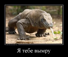 Женщины, что творится в ваших головах?