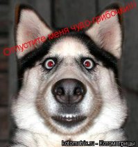Фантастические цифровые коллажи Хюсейина Шахина