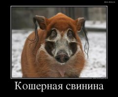 Кража номеров