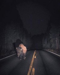 Можно не боятся, у него сплошная.