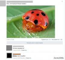 Сразу вспомнилось:)