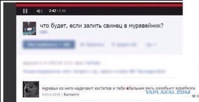 Смешные комментарии и высказывания из социальных сетей