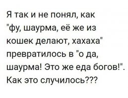 063. Сырно-овощная шаурма