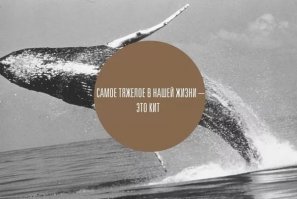 10 удивительных и загадочных историй, связанных с океаном