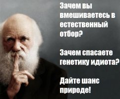 О веганах