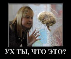 Я ХОЧУ ЕГО!!!