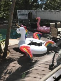 А этого мутанта похоже ЛГБТшники наркоманы делали