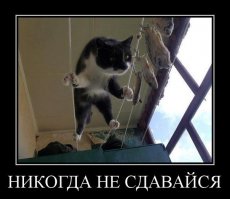 Никогда не сдавайся!
