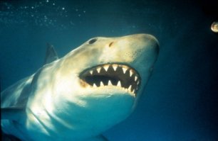 Красивые места и пейзажи из личной коллекции