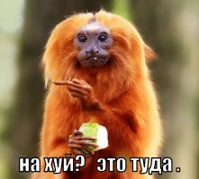 Ну, ЭТО вообще уже ни в какие рамки не лезет.
Бородатый анекдот одеть в 3 картинки....
Это что то....