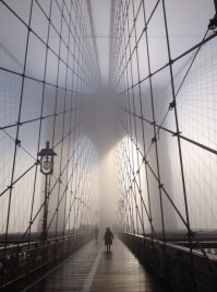 Фотоподборка за 23.03.2017