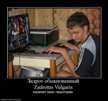 Если вы решите хоть одну из этих 6 задач, вам тут же выплатят $ 1 млн