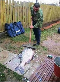 Полезные советы