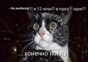 Бедные, голодающие коты Балаклавы