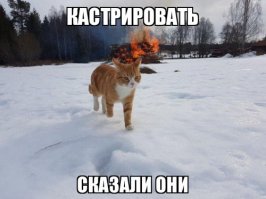  Подборка демотиваторов, которые поднимут вам настроение