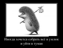 Демотиваторы