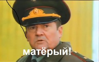 Не съем так понадкусываю! Секрет энергии кота Бориса наконец раскрыт