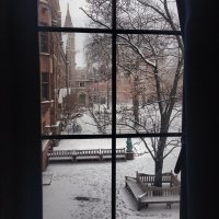 Общага, вид из окна: