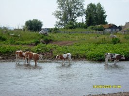 Просто картинки из интернета