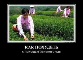 Дебильные и опасные способы похудеть к лету