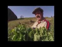 Самый лучший сигарный лектор это он.