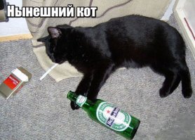Смешные комментарии и высказывания из социальных сетей