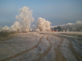 мое "творчество " )))
