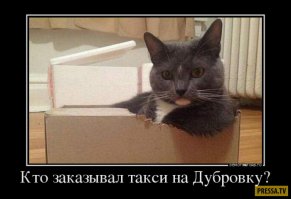 Подборка автомобильных приколов