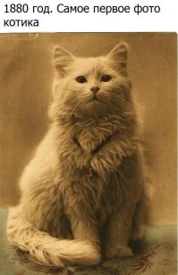 Даа... это не то что нынешние коты)