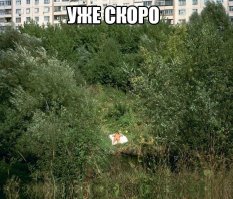 Смешные картинки