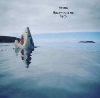 Смешные картинки