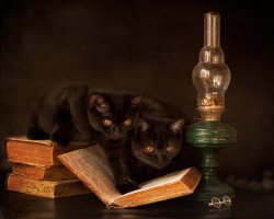 Тёплый ламповый пост