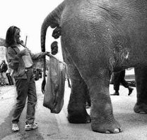 Излюбленные демотиваторы