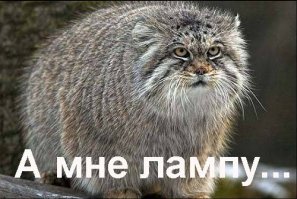 Тёплый ламповый пост