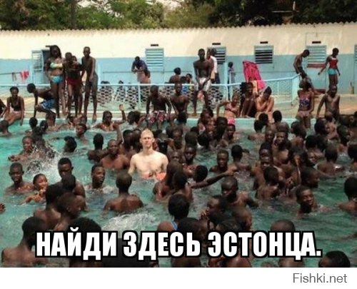 Политические коментарии соцсетей - 86