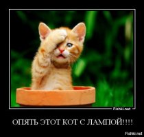 Как я договорился с управляющей компанией