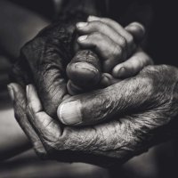 Только ли? 
Эта работа принадлежит Ли Джеффрису, а он мужчина. 
Лизе (автору поста) верить - себя не уважать. :)