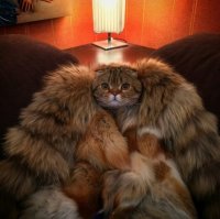 Трижды избежать изнасилования - судьба или сообразительность?