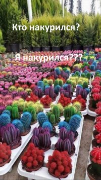 WTF: что тут происходит?