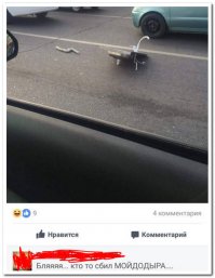 Дерьмо случается