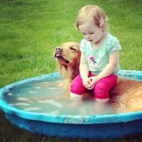 Некоторые фотки уже старенькие, но весе равно каждый раз видишь и улыбаешься. Мне эти очень понравилась.