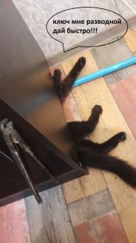 Интересные и веселые картинки