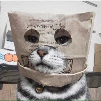 Дикие хозяева наносят ответный удар!
