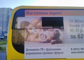 Интересные и веселые картинки